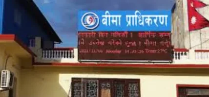 बीमा प्राधिकरणमा निर्देशकहरूको जिम्मेवारी हेरफेर