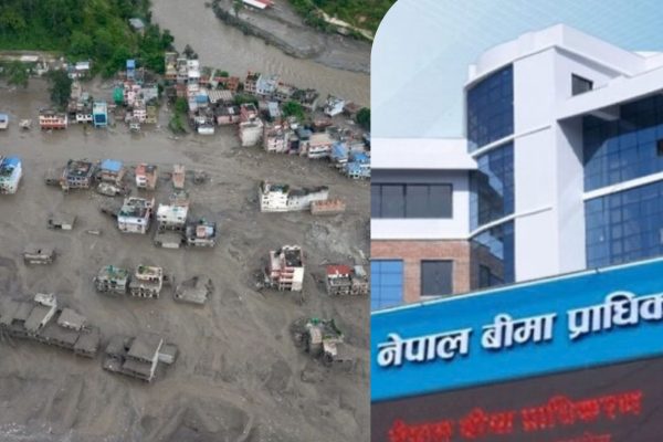 भोटेकोशी–त्रिशूली बाढीमा २० अर्ब ९८ करोडको बीमा दाबी, ५ लाखसम्म सर्भेयर नचाहिने