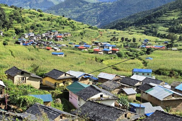 जाजरकोटमा जडिबुटीबाट एक वर्षमै २९ करोडभन्दा बढी आम्दानी जाजरकोटमा जडिबुटीबाट एक वर्षमै २९ करोडभन्दा बढी आम्दानी